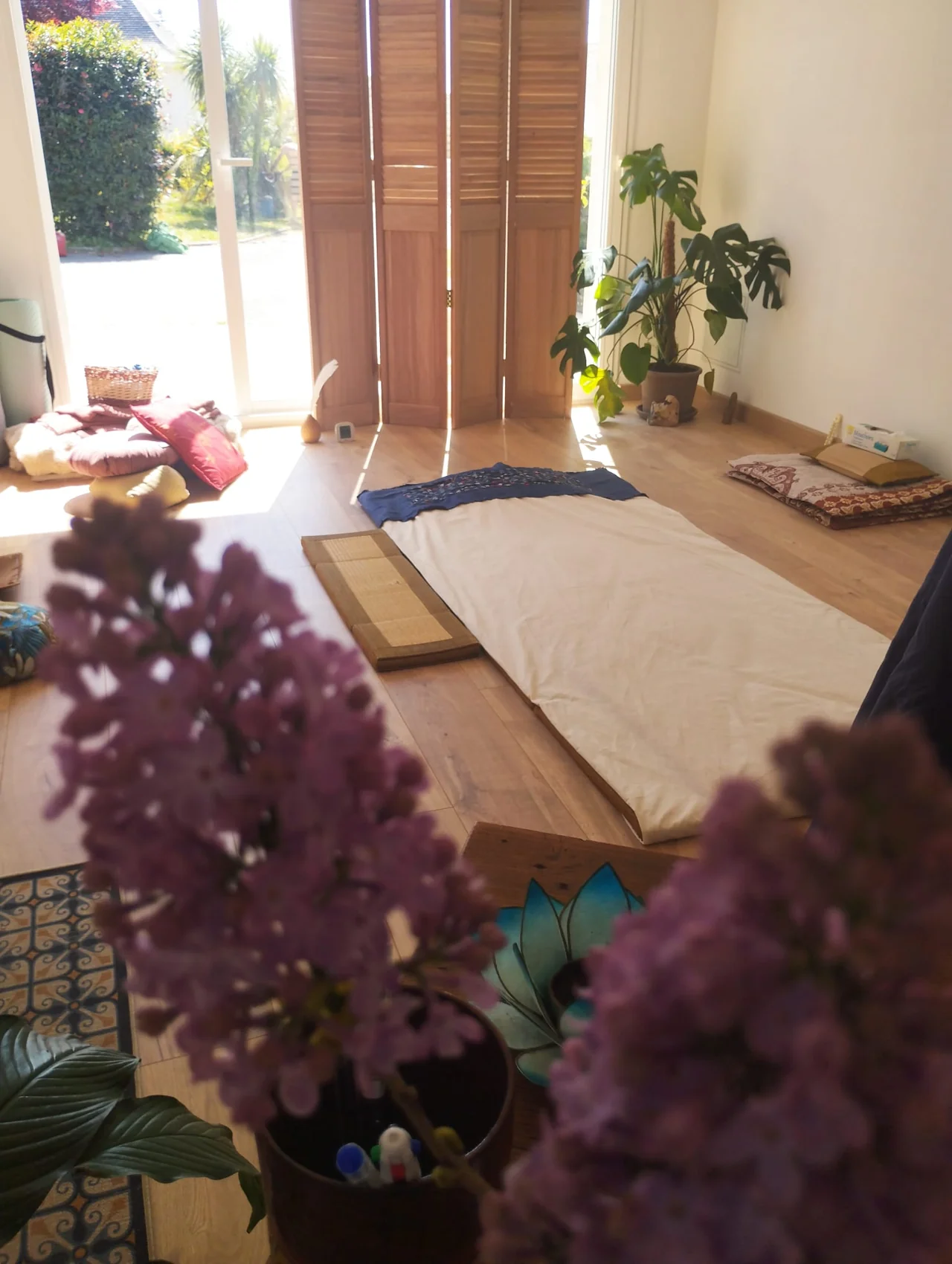 Le futon du cabinet, près de la fenêtre, avec le parquet et les plantes.